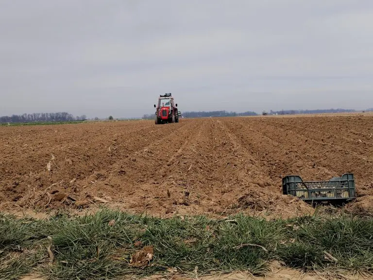 Poljoprivrednici Janje pred izazovima: Rana sadnja i borba s nestašicom sjemenskog materijala