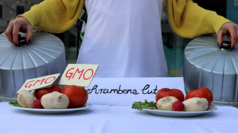 Zbog nove generacije GMO-a pola Evrope je na nogama, prijeti se i tužbama