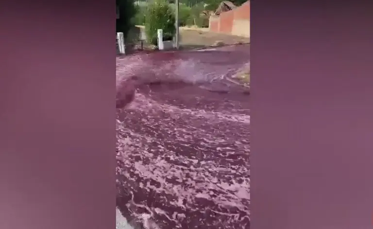 Rijeka vina tekla ulicama, građani u čudu