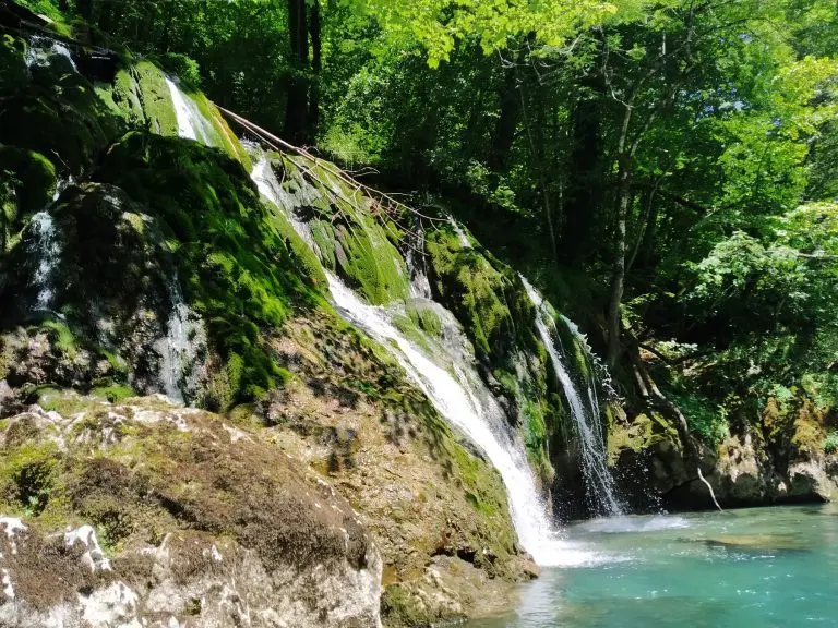 Republika Srpska bogatija za još jedno zaštićeno područje! Prošle sedmice Tara je proglašena parkom prirode