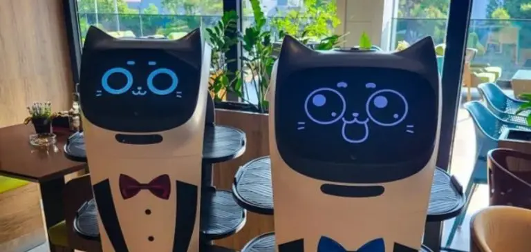 Roboti konobari posluživat će goste u još jednom bh. gradu