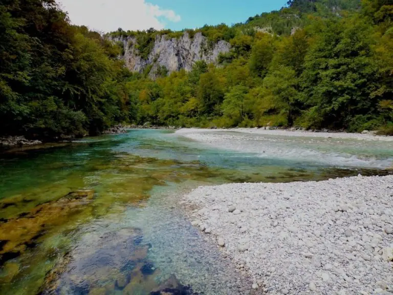 Nakon slika zamućene vode i pomora riba, inspektori RS utvrdili da je Neretva NEZAGAĐENA