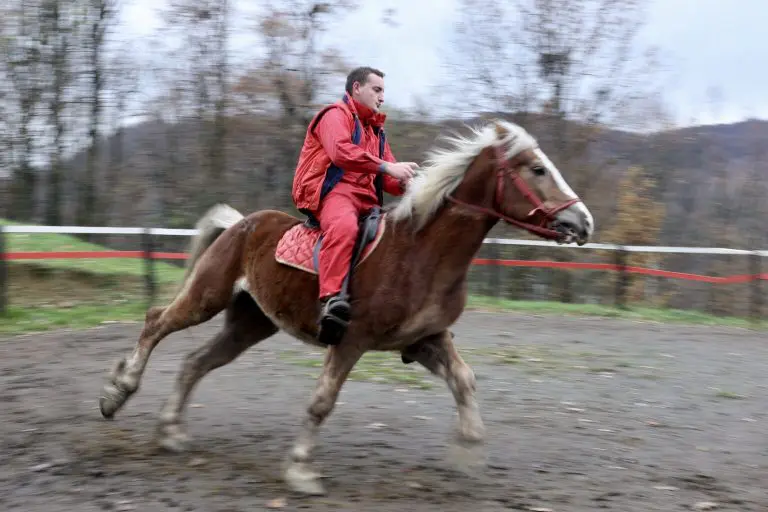 Mladić iz Gornje Tuzle: Odrekao se izlazaka i kafa, da bi izgradio svoju farmu