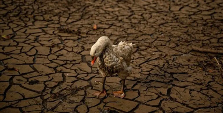 Naučnici: Ovako bi svijet mogao izgledati 2050. godine