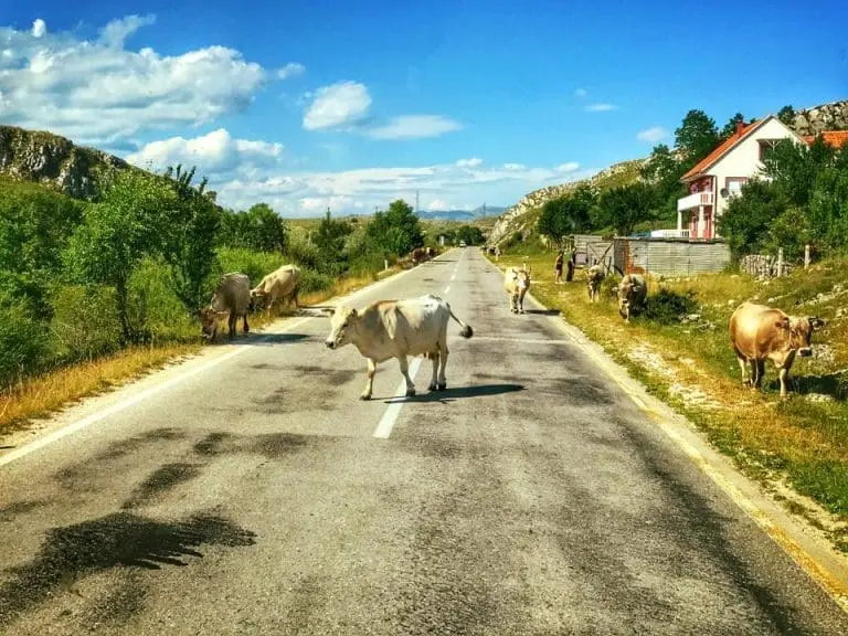 Bio sam ovog ljeta u Bosni, gotovo je, korupcija zatvara krug