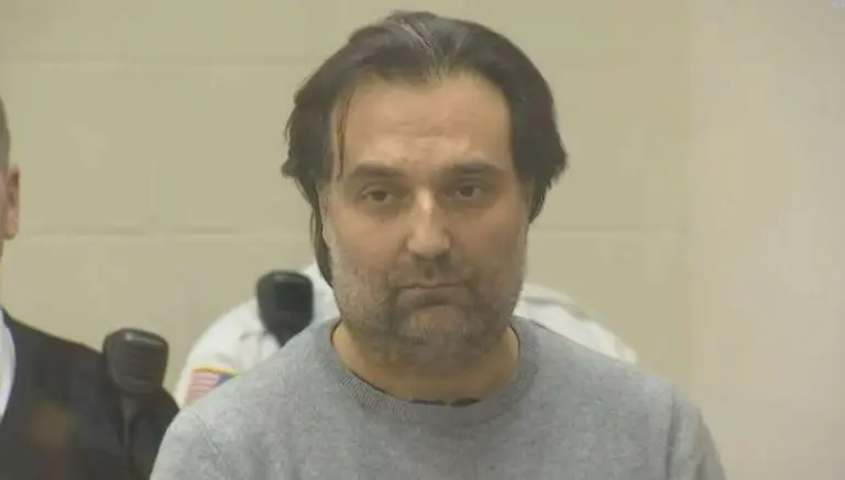 Ovo je sve guglao muž nestale Ane Volš