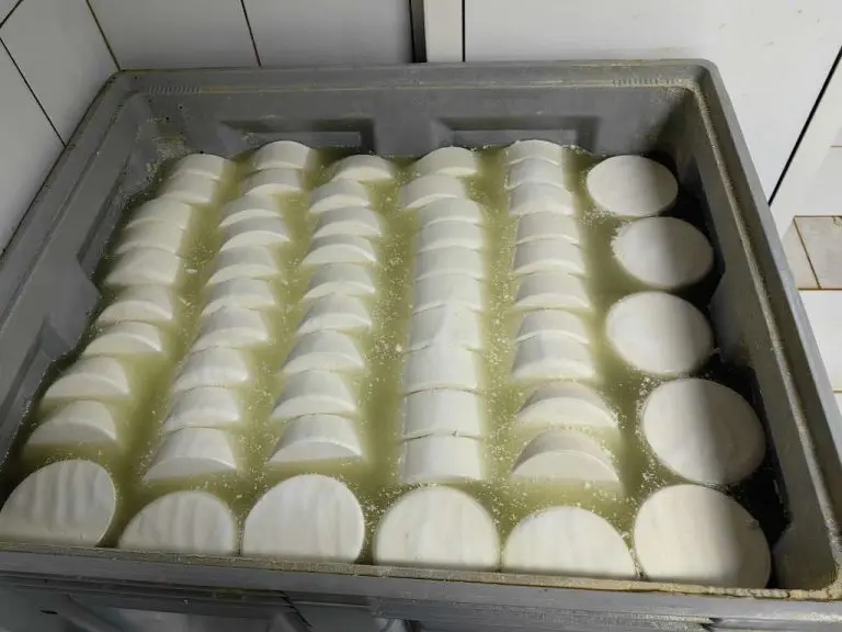 Trapist, sir koji je iz BiH obišao svijet mogao bi dostići proizvodnju od pet tona mjesečno