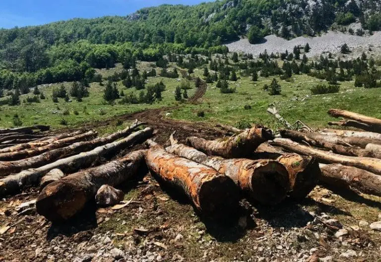Proizvodnja u RS sve manja, drvna industrija već dvije i po godine u padu, manji i broj radnika