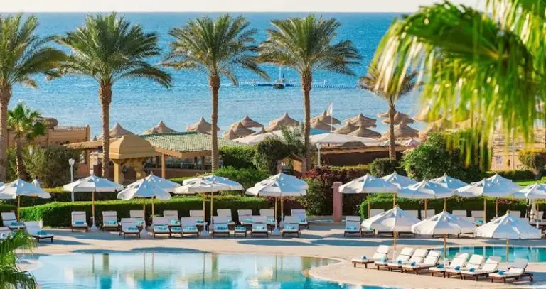 Da li su napadi ajkula u Egiptu česti i kako se od njih zaštititi?