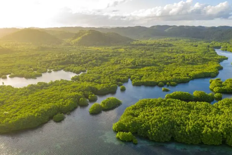 Privremeno prekoračenje 2 °C moglo bi da izazove dugotrajnu štetu za biodiverzitet