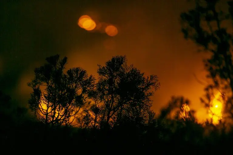 Tri istovremena toplotna vala u svijetu, temperature su ekstremne. Bjesne i požari