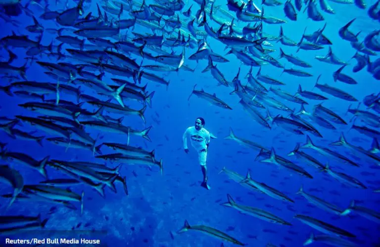 Na dnu okeana otkriven fenomen koji jako zabrinjava naučnike