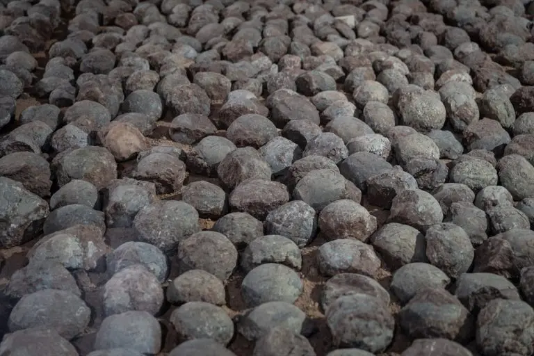 U kineskom muzeju izloženo skoro 20.000 jaja dinosaurusa (FOTO)