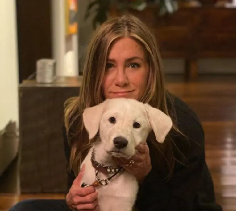 Jennifer Aniston: 53-godišnja žena i ne-majka