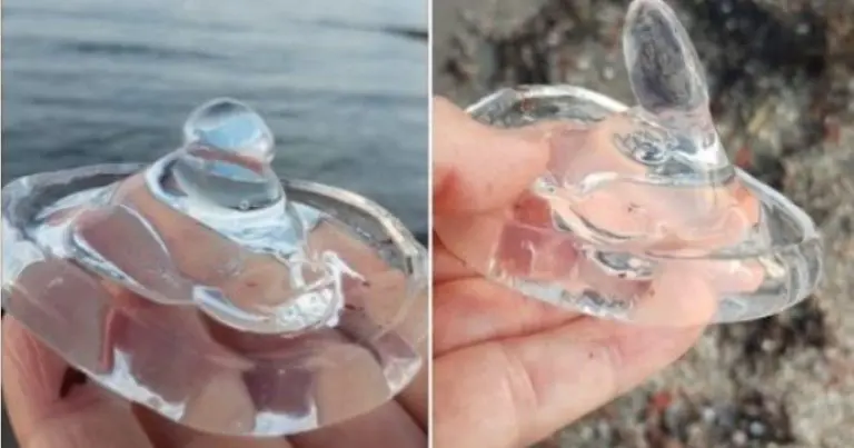 Šta je ovo? Naobična pojava na hrvatskoj plaži zbunila građane, stručnjaci pojasnili da li je opasna…