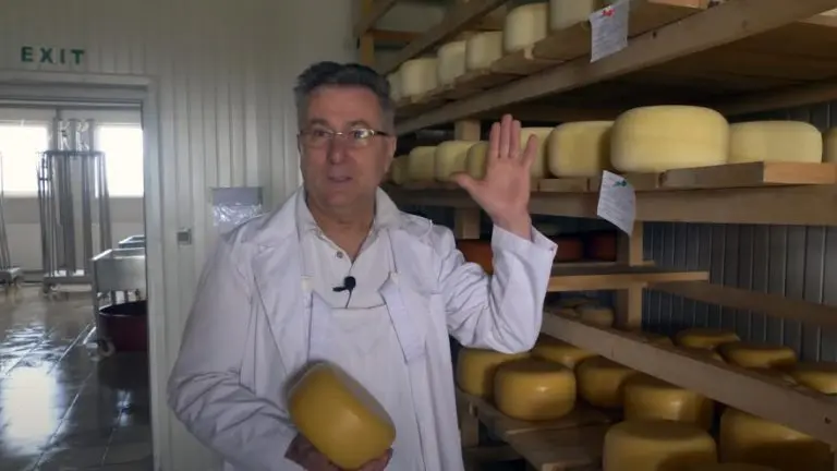 Priča o kupreškom siru, najboljem na Balkanu: Da bi održao poslovanje prodao stan u Sarajevu