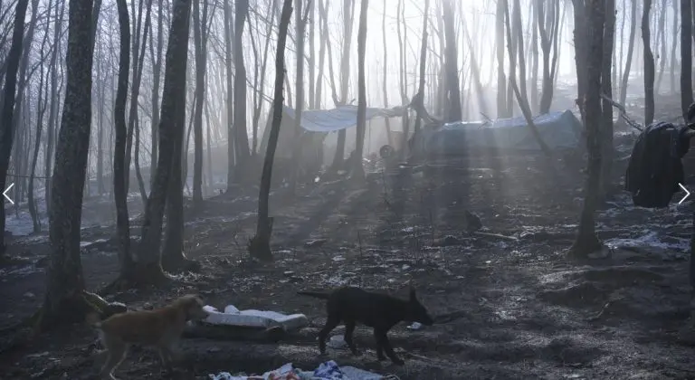 Prakse solidarnosti moraju postati protest protiv nasilja
