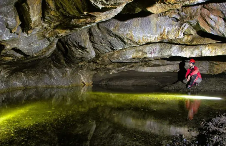 25 eksperata iz BiH i regiona počinje istraživanje biodiverziteta na Ozrenu!