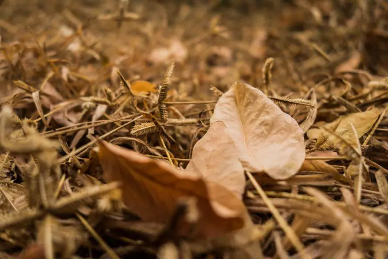 Saznajte kakvo nas vrijeme očekuje narednih dana: Da li ćemo imati Miholjsko ljeto?