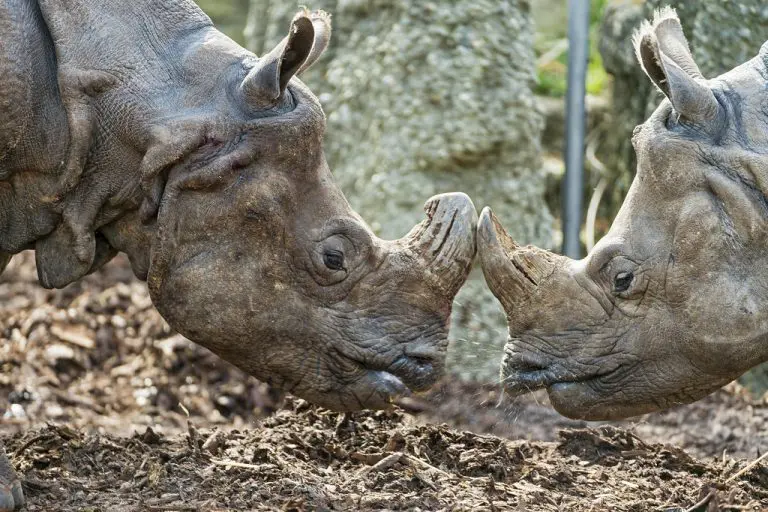 Kako da razgovarate o Ukrajini i drugim zapaljivim temama, a da se ne posvađate sa cijelom familijom