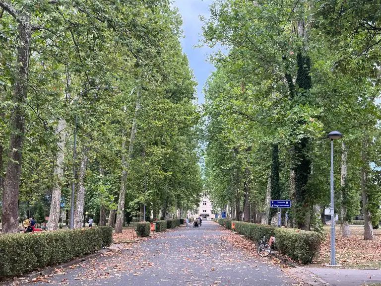 Studijski programi koji su pali u zaborav: Mladi ih zaobilaze