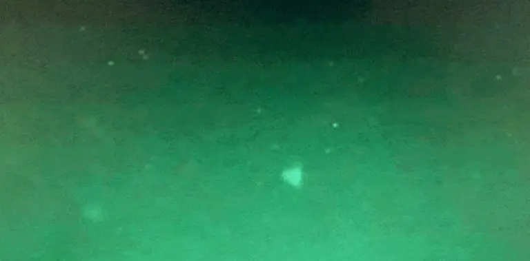 Pljušte kritike na istorijsko saslušanje o NLO-ima