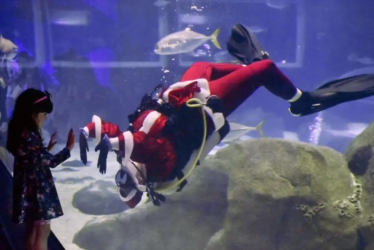 Ronilac Djed Mraz hranio ajkule u Rio de Janeiru (FOTO)