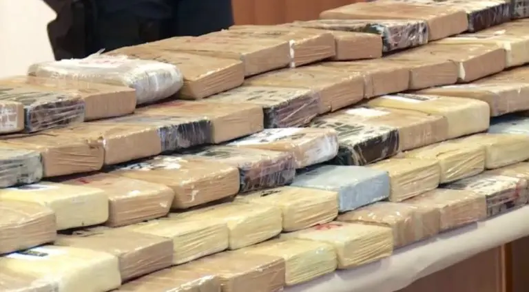 Ketamin, droga za konje i festivale: Mladi u Srbiji još šmrču prašak za goveda