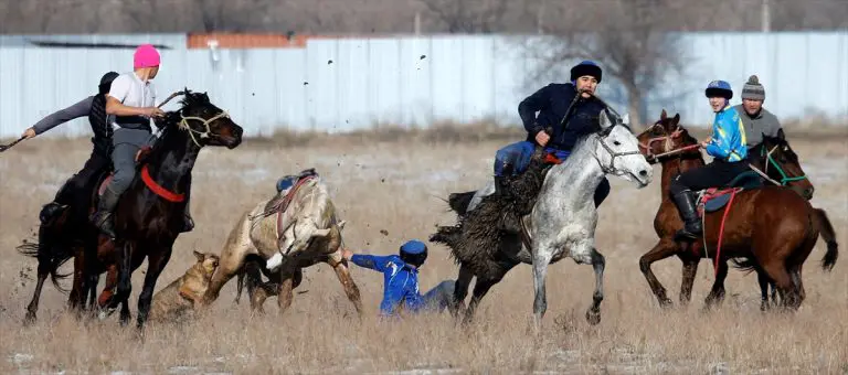 Nacionalni sport: Pokušavaju postići go mrtvom kozom (FOTO)