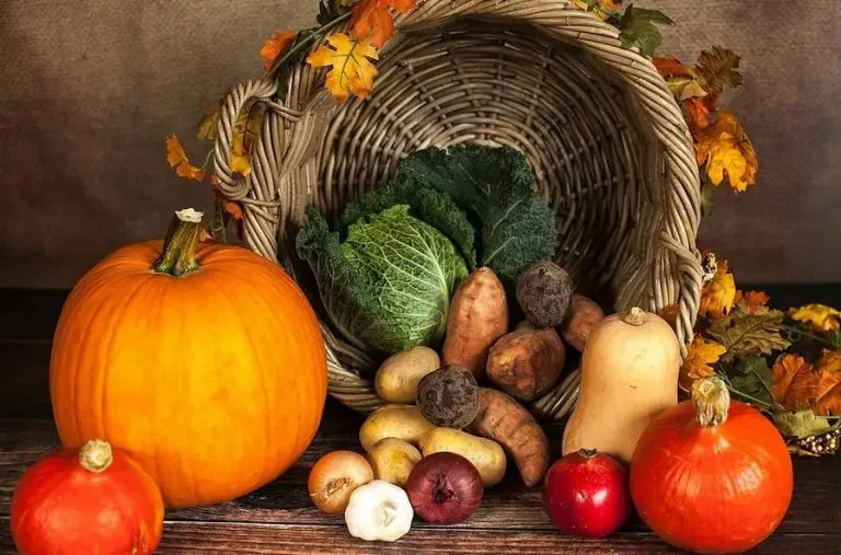 Najhranjivije jesenje povrće i voće