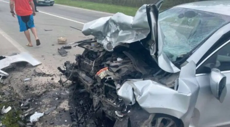 Dokle ćemo trpiti ubijanje na ulicama: Moramo divljake nadzirati, hvatati, kažnjavati i oduzimati im vozila