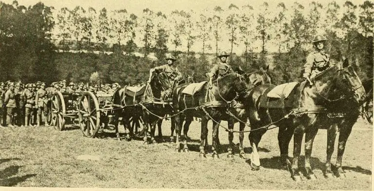 U Parizu otkriven spomenik posvećen životinjama poginulim tokom ratova