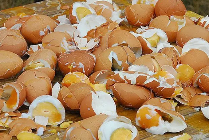 Medicinar iz Konjica gađao zgradu Vlade jajima