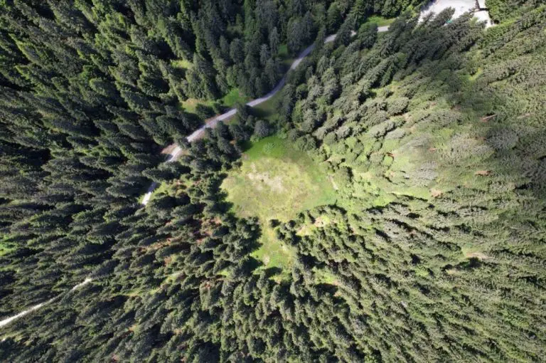Tresetišta – Zavirite u davnu prošlost