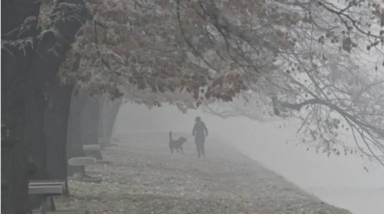 SVE PO ZAKONU Svake godine možemo spasiti 3.300 života u BiH, ali oni nisu prioritet