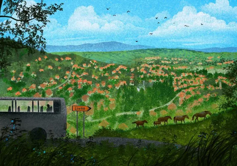 Grad na osami: Prostranstvo, pustoš i povratak