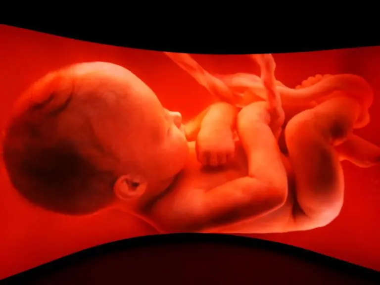 Naučnici pronašli mikroplastiku u svakoj testiranoj ljudskoj posteljici