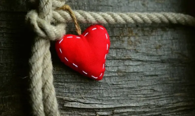 Dan srca: Prestanak pušenja, promjena navika, izbjegavanje stresa važni faktori u prevenciji