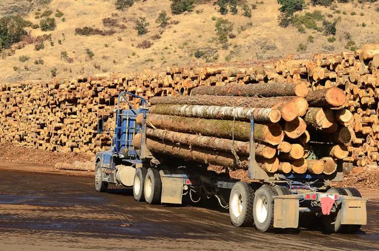Poskupljuje drvo u Srpskoj, radnici u “Šumama RS” dobiće zaostale plate do kraja februara