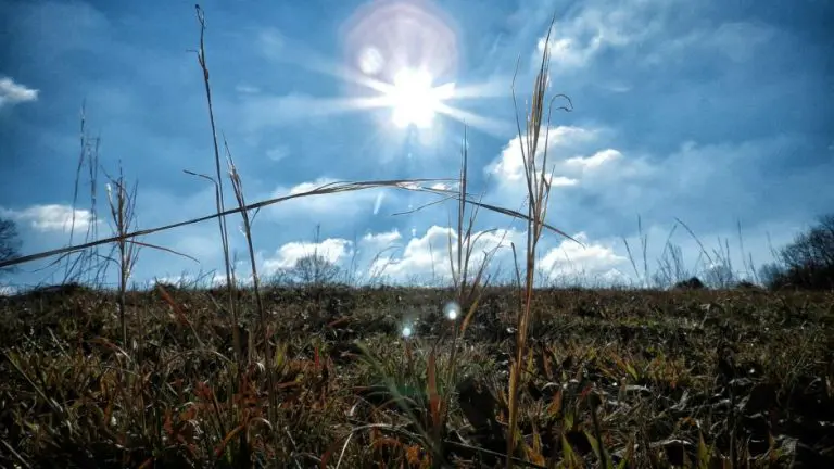 Danas sunčano, temperatura do 25 stepeni