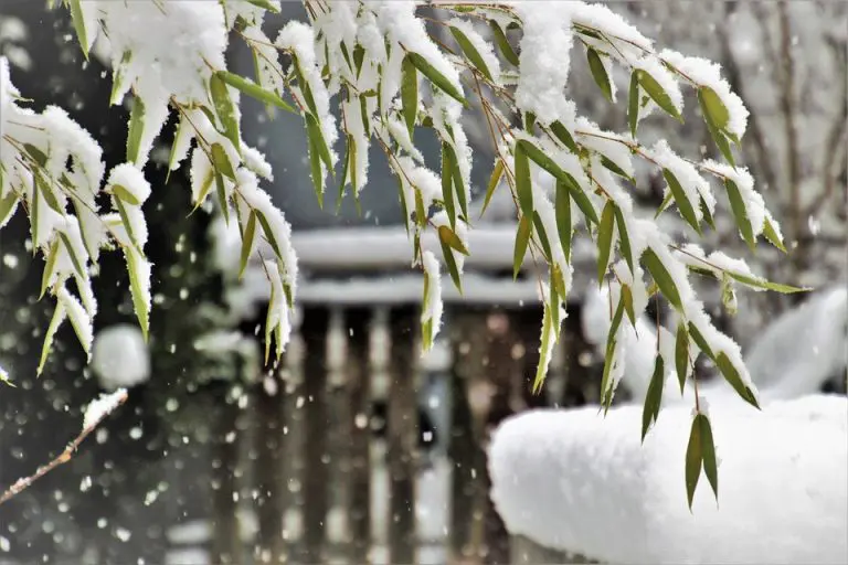 Meteorolog otkrio kada dolazi “prava zima”