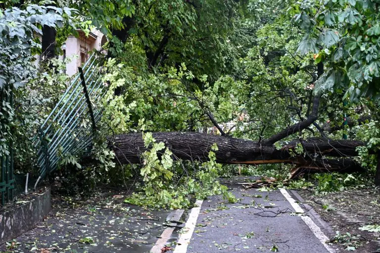 Stručnjak iz Civilne zaštite: ‘Ovo su tri stvari koje nikako ne smijete raditi tokom nevremena!‘