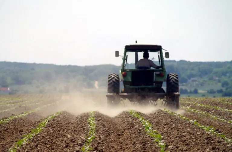 Poljoprivrednici: Stanje na terenu je katastrofalno, šteta ogromna