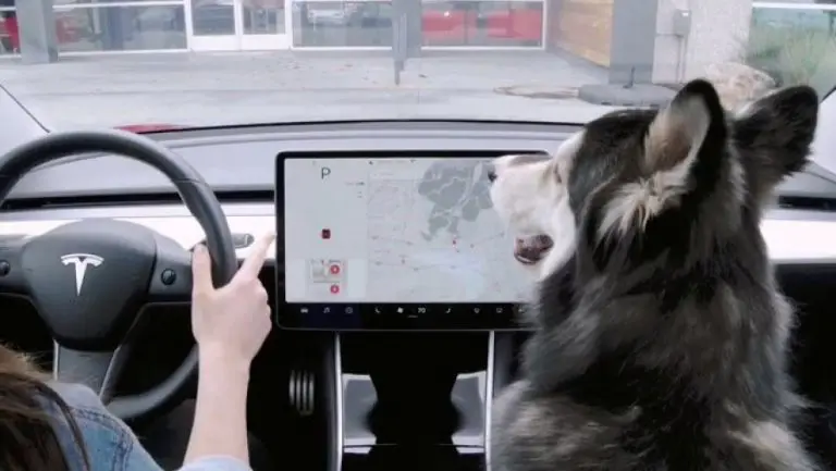 Svjedoci smo jednog zanimljivog sudskog spora: Tesla tužio Teslu