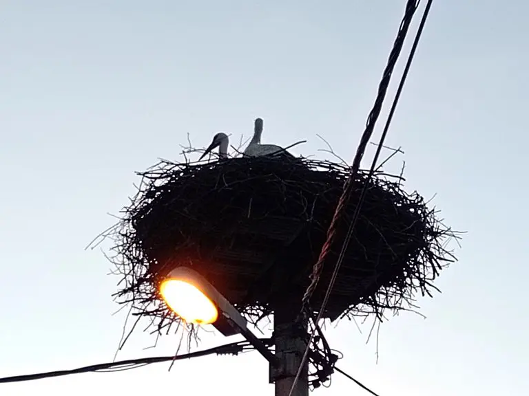 Vratile im se rode: “Otkad su počele dolaziti, rođeno je više djece”