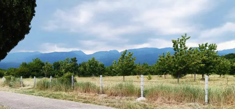 Danas toplo i nestabilno vrijeme, krajem dana kiša