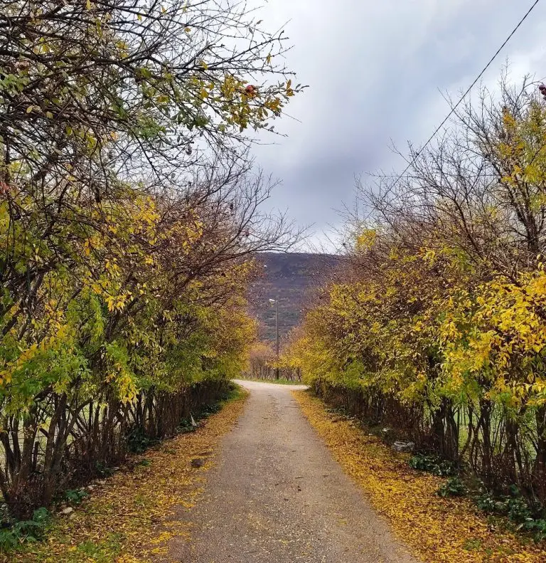 Meteorolozi objavili kakva nas jesen čeka