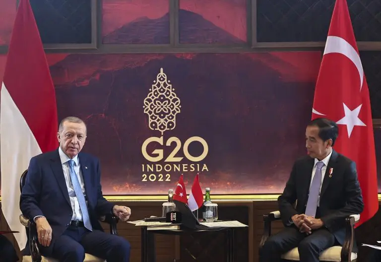 Erdogan i Widodo se sastali na Baliju uoči sastanka G20
