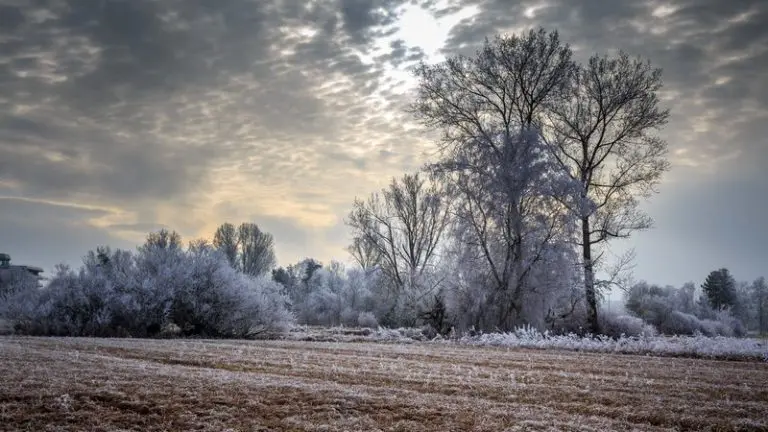 Prognoza vremena do nedjelje u Bosni i Hercegovini