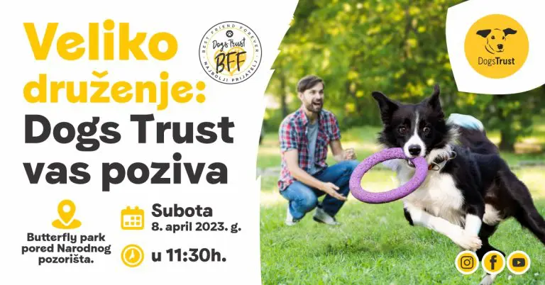Veliko Dogs Trust druženje u Banjaluci